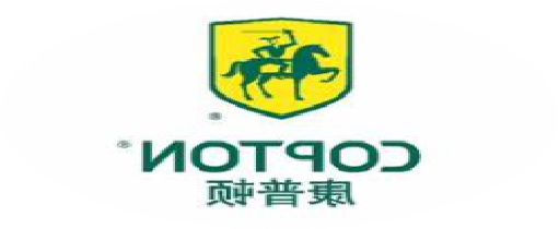 青岛康普顿科技股份有限公司